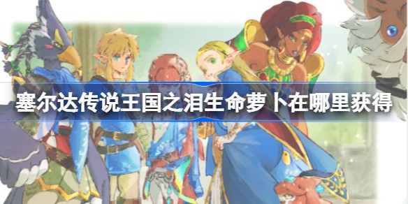 王国之泪生命萝卜怎么获得-生命萝卜获取攻略
