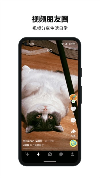 绿巨人丝瓜草莓秋葵小猪芭乐茄子精简版