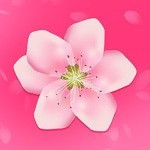 一个人看的www视频在线观看免费版