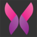 国产windowschannel国产新剧最新版