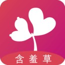 青苹果乐园免费观看电视剧高清下载