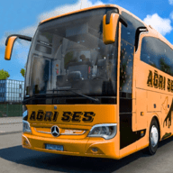 公共旅游巴士城市(Public Tourist Bus City Games)安卓下载