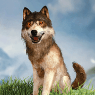 野狼模拟器3DWild Wolf Simulator 3D安卓手机游戏app