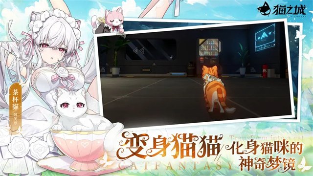 猫之城0.1折1