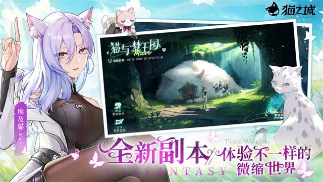 猫之城0.1折3