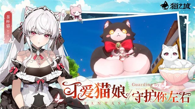猫之城0.1折2